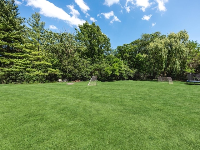 1551 Daybreak Dr, Libertyville, IL 60048 - view of yard with a trampoline and a sport area