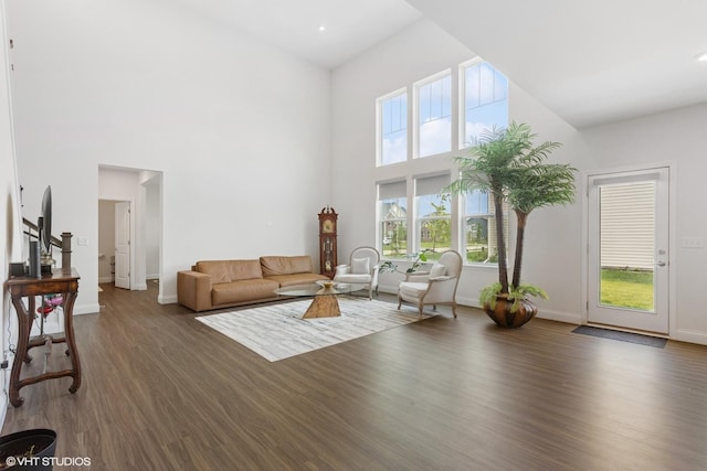 12906 S Sydney Cir, Plainfield, IL 60585 - living area featuring a high ceiling and wood finished floors