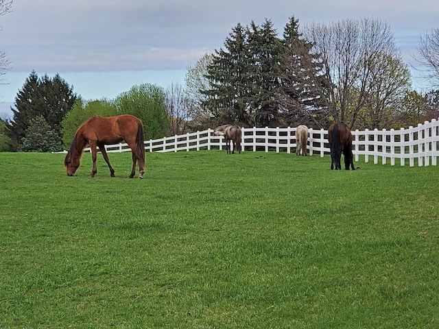 36537 N Fox Hill Dr, Wadsworth, IL 60083 - photo 11