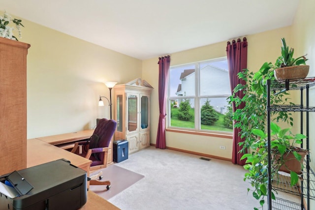 8610 Pebble Creek Ct, Wonder Lake, IL 60097 - office space featuring carpet and baseboards