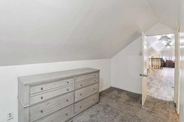 7659 S Rhodes Ave, Chicago, IL 60619 - walk in closet with lofted ceiling and dark carpet
