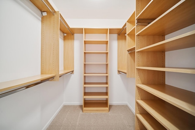 820 Weidner Rd Unit 405, Buffalo Grove, IL 60089 - spacious closet featuring carpet floors