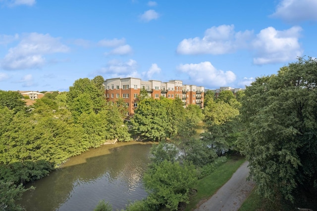 820 Weidner Rd Unit 405, Buffalo Grove, IL 60089 - water view