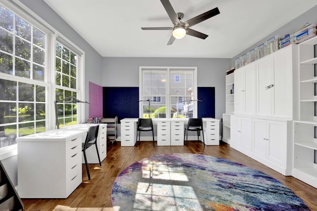 7270 Bannockburn Cir, Lakewood, IL 60014 - home office featuring a ceiling fan and wood finished floors