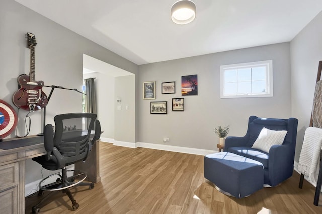 7270 Bannockburn Cir, Lakewood, IL 60014 - office area featuring light wood-style floors