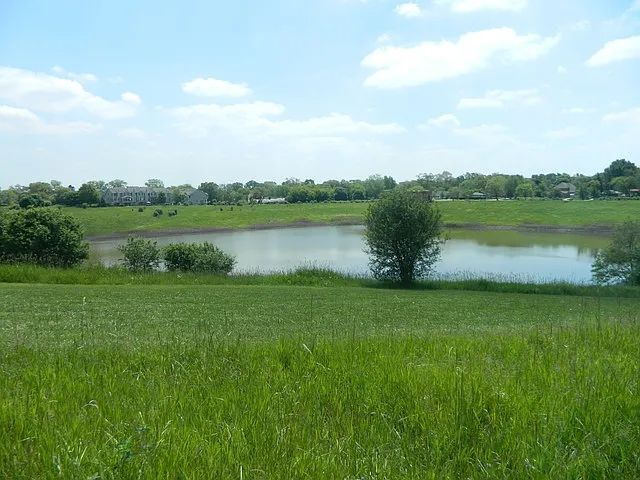 77 N Quentin Rd Unit 202, Palatine, IL 60067 - water view