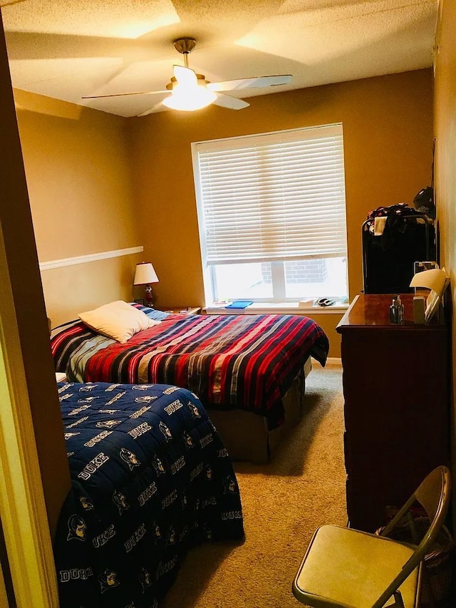 77 N Quentin Rd Unit 202, Palatine, IL 60067 - bedroom featuring carpet flooring and ceiling fan