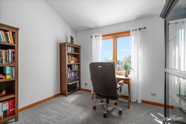 1809 Winmont Ct, Montgomery, IL 60538 - carpeted office with baseboards and lofted ceiling