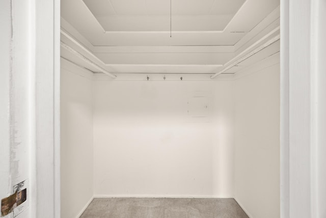 1139 Leavitt Ave Unit 313, Flossmoor, IL 60422 - walk in closet with carpet