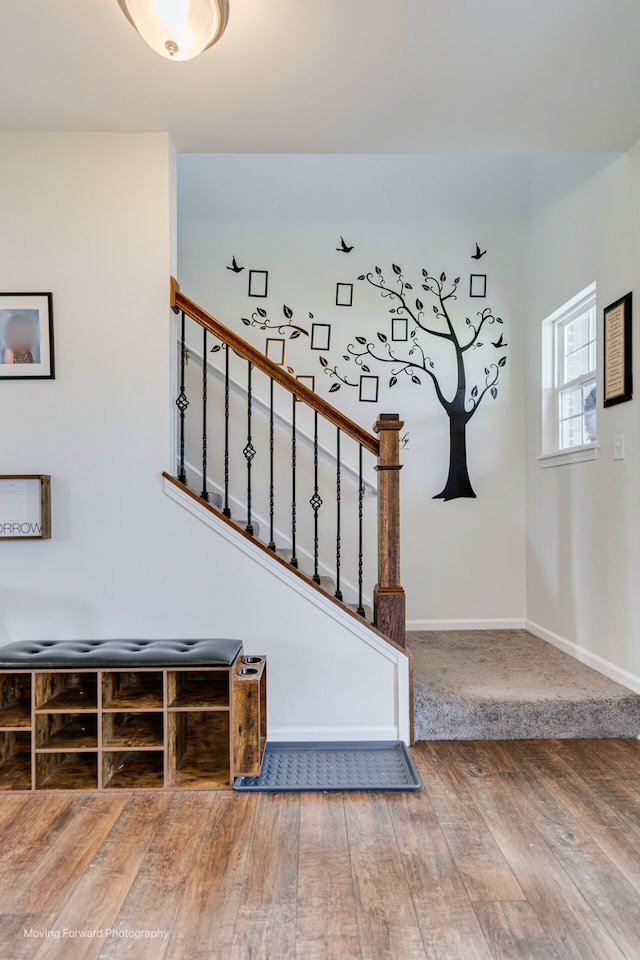26065 S White Oak Trl, Channahon, IL 60410 - stairway featuring hardwood / wood-style flooring and baseboards