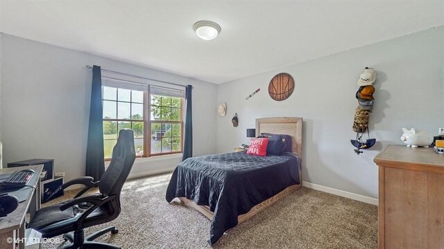 15N502 Prairie Hill Cir, Hampshire, IL 60140 - photo 24