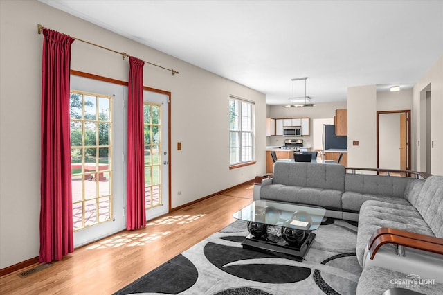 1348 Amaranth Dr, Naperville, IL 60564 - living area featuring light wood-style flooring and baseboards