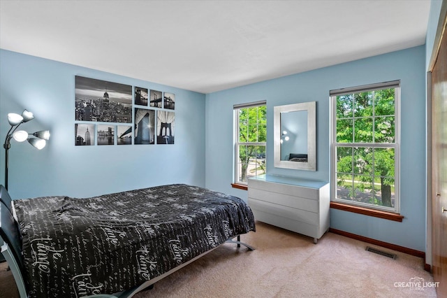 1348 Amaranth Dr, Naperville, IL 60564 - carpeted bedroom featuring baseboards
