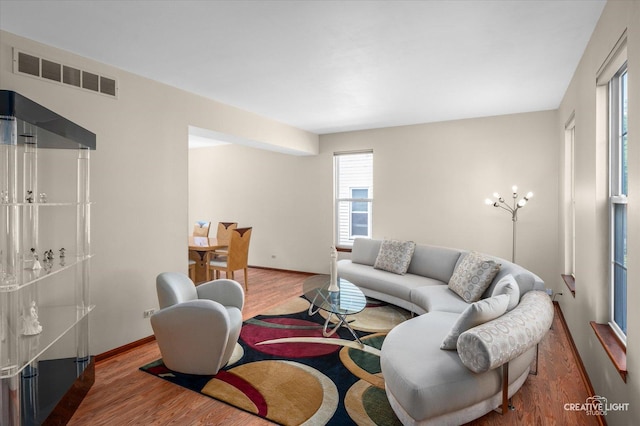 1348 Amaranth Dr, Naperville, IL 60564 - living room featuring wood finished floors and baseboards
