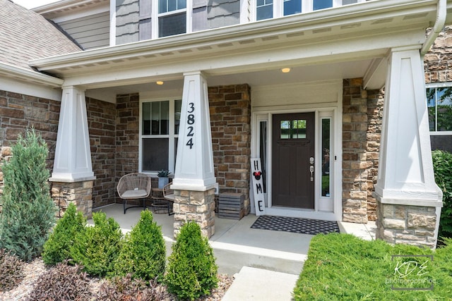 3824 Nannyberry Ct, Naperville, IL 60564 - photo 3