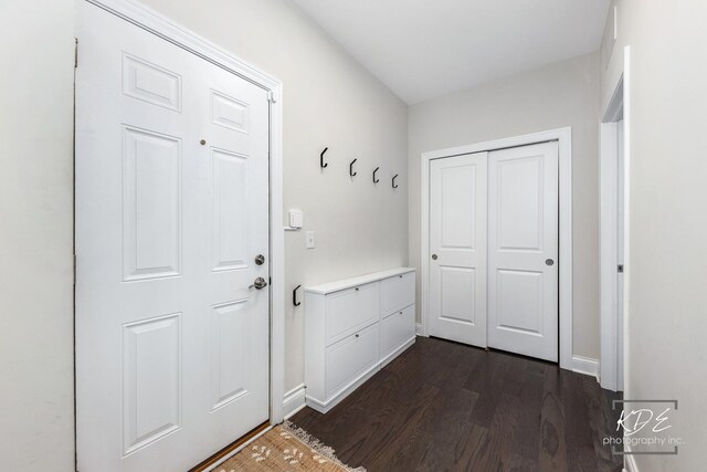 3824 Nannyberry Ct, Naperville, IL 60564 - photo 21