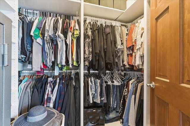 2447 Saddle Ridge Dr, Joliet, IL 60432 - view of walk in closet