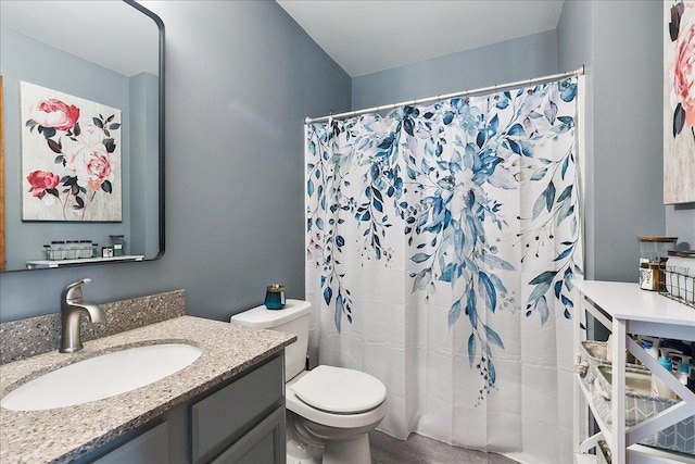 2447 Saddle Ridge Dr, Joliet, IL 60432 - bathroom with vanity, a shower with curtain, and wood finished floors