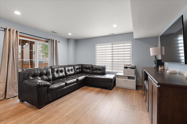 2447 Saddle Ridge Dr, Joliet, IL 60432 - living area featuring light wood-style flooring and recessed lighting