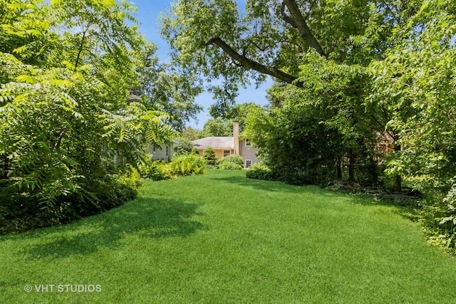 5341 Grand Ave, Downers Grove, IL 60515 - view of green lawn