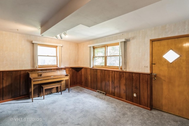 5341 Grand Ave, Downers Grove, IL 60515 - carpeted entrance foyer featuring a wainscoted wall and wooden walls