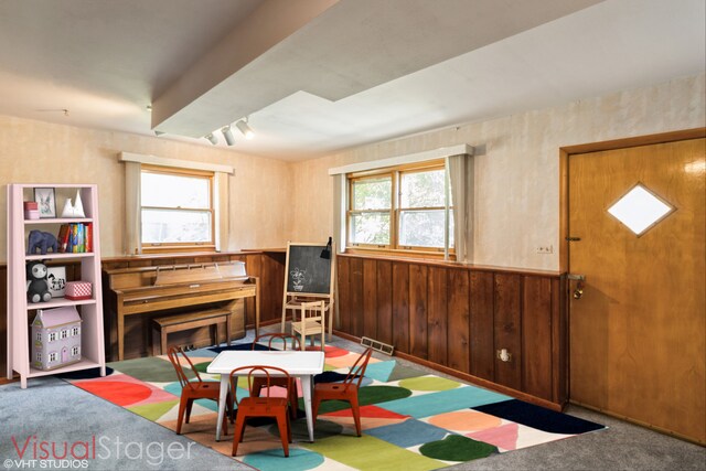 5341 Grand Ave, Downers Grove, IL 60515 - recreation room featuring healthy amount of natural light, carpet flooring, a wainscoted wall, and wood walls