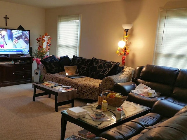 1769 Sessions Walk Unit C, Hoffman Estates, IL 60169 - living room with light carpet