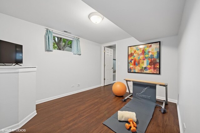 128 Coolidge Ave, Barrington, IL 60010 - exercise room featuring wood finished floors and baseboards