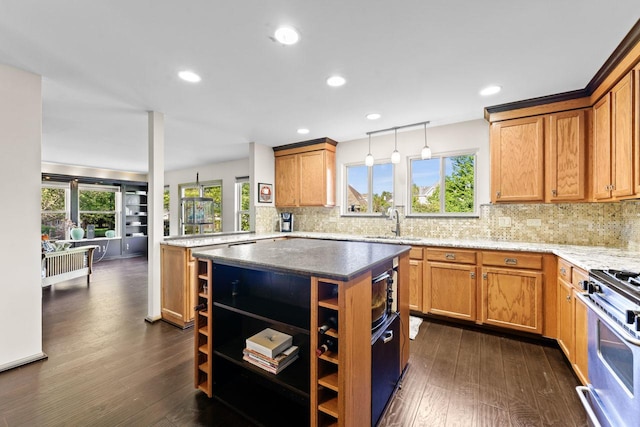 1018 Butterfield Cir E, Shorewood, IL 60404 - kitchen with open shelves, dark wood-type flooring, stainless steel range with gas stovetop, tasteful backsplash, and plenty of natural light