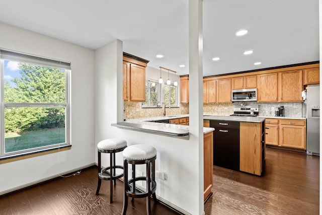 1018 Butterfield Cir E, Shorewood, IL 60404 - kitchen with stainless steel appliances, dark wood-style floors, backsplash, a peninsula, and recessed lighting