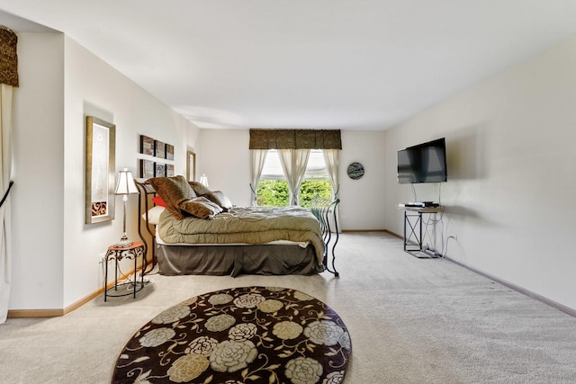 1018 Butterfield Cir E, Shorewood, IL 60404 - bedroom featuring carpet floors and baseboards