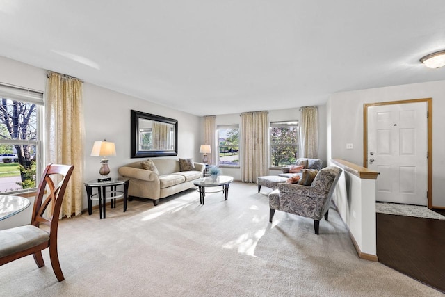 1018 Butterfield Cir E, Shorewood, IL 60404 - carpeted living area featuring baseboards