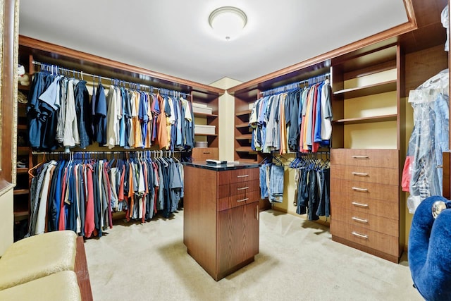 1018 Butterfield Cir E, Shorewood, IL 60404 - walk in closet featuring light colored carpet