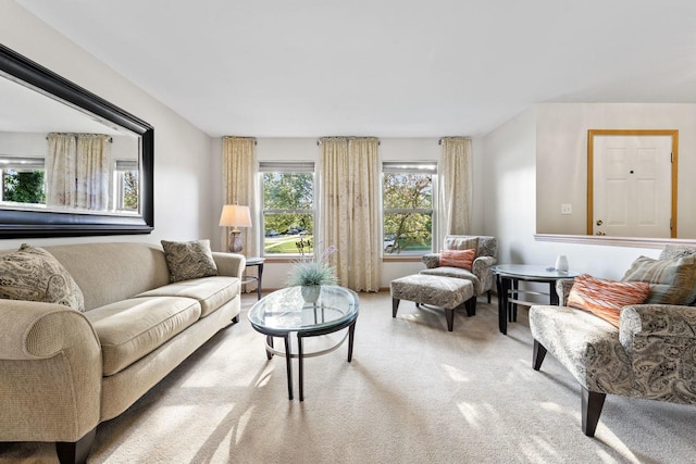 1018 Butterfield Cir E, Shorewood, IL 60404 - living room with light colored carpet