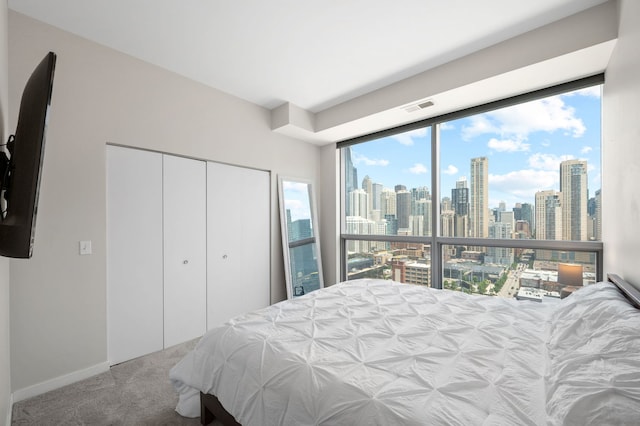303 W Ohio St Unit 2302, Chicago, IL 60654 - carpeted bedroom featuring a view of skyline and a closet
