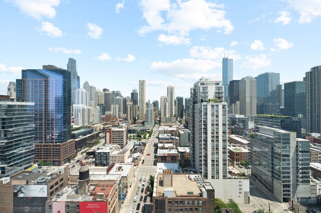 303 W Ohio St Unit 2302, Chicago, IL 60654 - skyline view