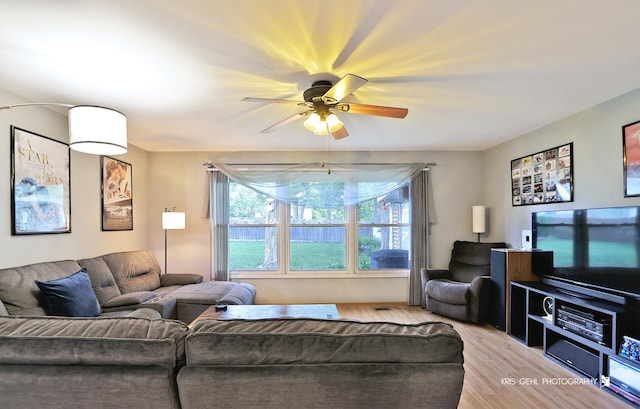 115 Red Bridge Rd, Lake Zurich, IL 60047 - living room with light wood-type flooring and ceiling fan