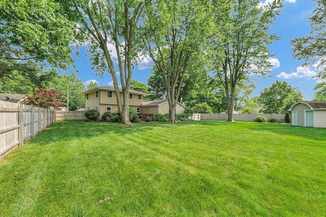 20 Park Dr, Villa Grove, IL 61956 - fenced backyard with a storage unit