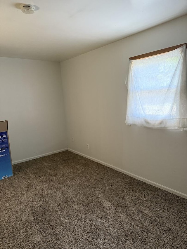 3035 Peoria St, Steger, IL 60475 - photo 20