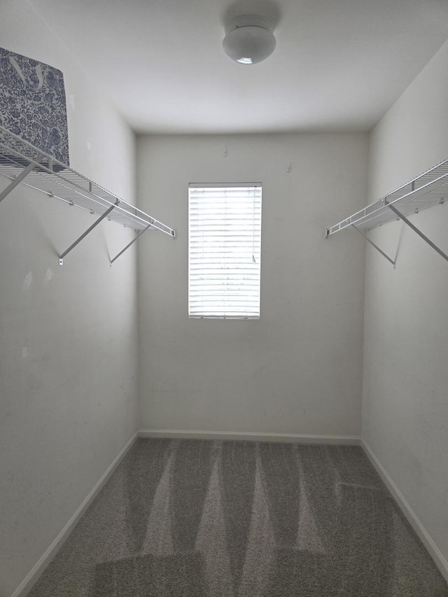 8501 Sawyer Ct, Joliet, IL 60431 - spacious closet with carpet