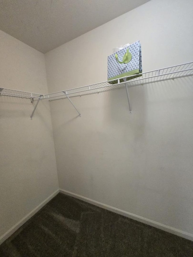 8501 Sawyer Ct, Joliet, IL 60431 - walk in closet featuring dark carpet