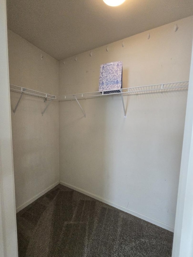 8501 Sawyer Ct, Joliet, IL 60431 - spacious closet with carpet