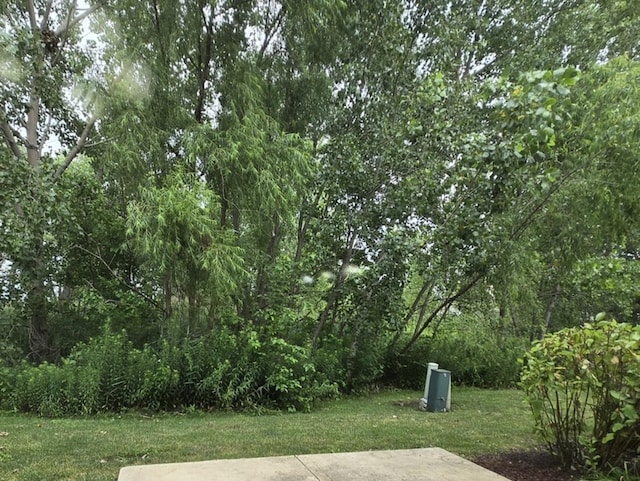 8501 Sawyer Ct, Joliet, IL 60431 - view of grassy yard
