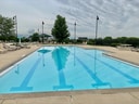 8501 Sawyer Ct, Joliet, IL 60431 - view of community pool