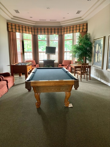 8501 Sawyer Ct, Joliet, IL 60431 - recreation room with carpet flooring and billiards table