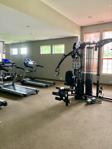 8501 Sawyer Ct, Joliet, IL 60431 - exercise room featuring recessed lighting and carpet flooring