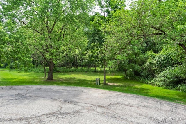 39203 Rangers Way, Antioch, IL 60002 - photo 1