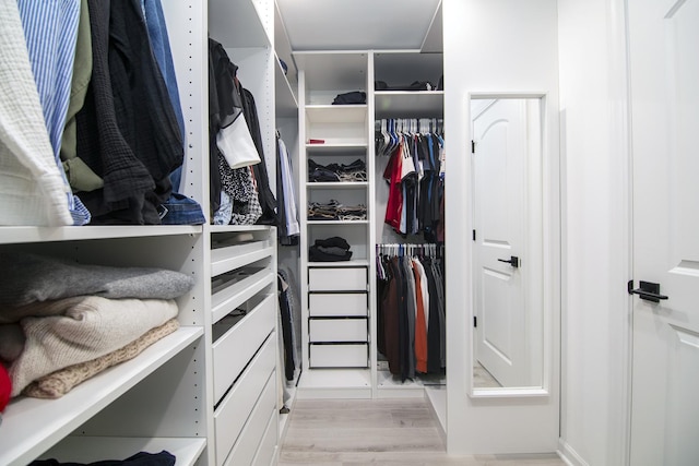 15705 Lake Hills Ct Unit 2N, Orland Park, IL 60462 - spacious closet featuring light wood-type flooring