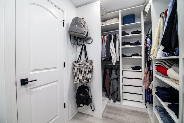 15705 Lake Hills Ct Unit 2N, Orland Park, IL 60462 - spacious closet with light wood finished floors