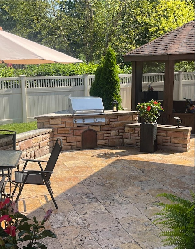 711 E Greenview Rd, Itasca, IL 60143 - view of patio with exterior kitchen